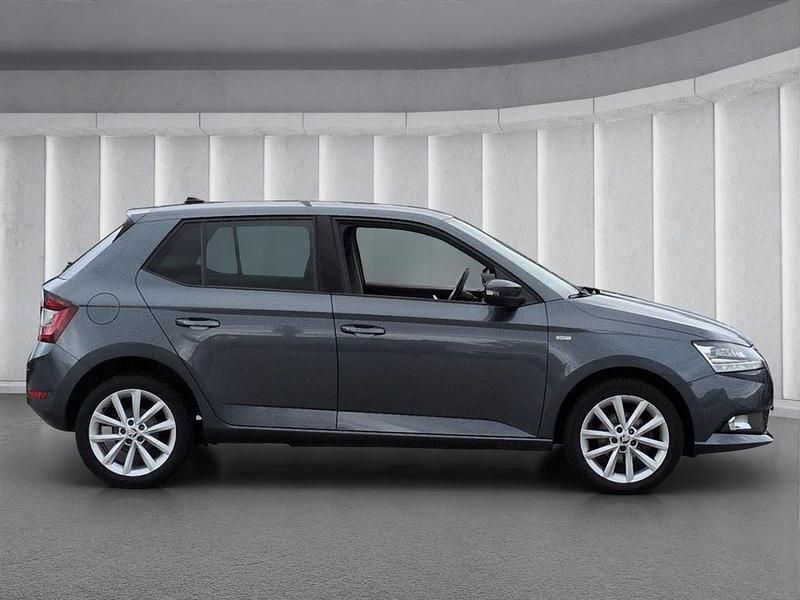 Gebraucht Skoda Fabia Soleil 95 PS (69 kW) 2020 Grau Kleinwagen