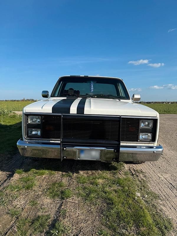 Second-hand Chevrolet C10 1987 Alb