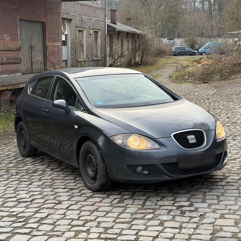 Second-hand Seat Leon 101 CP (74 kW) 2006 Gri Hatchback