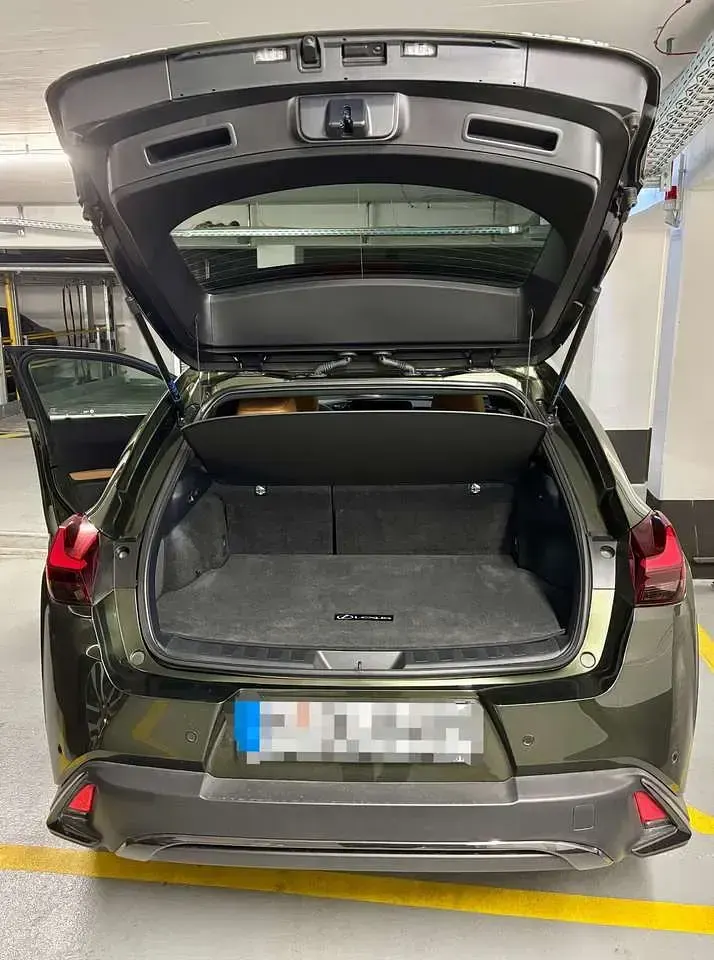 Gebraucht Lexus UX 300h Sport Design Packet 199 PS (146 kW) 2025 Grün SUV