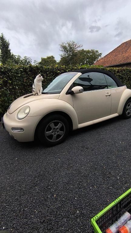 Beige Gebraucht 2004 VW Beetle Cabrio | 1.250 € (Superpreis) - Bild 1/4