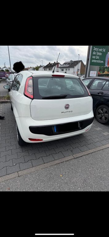 Weiß Gebraucht 2011 Fiat Punto Evo Kleinwagen | 3.590 € (Fairer Preis) - Bild 1/4
