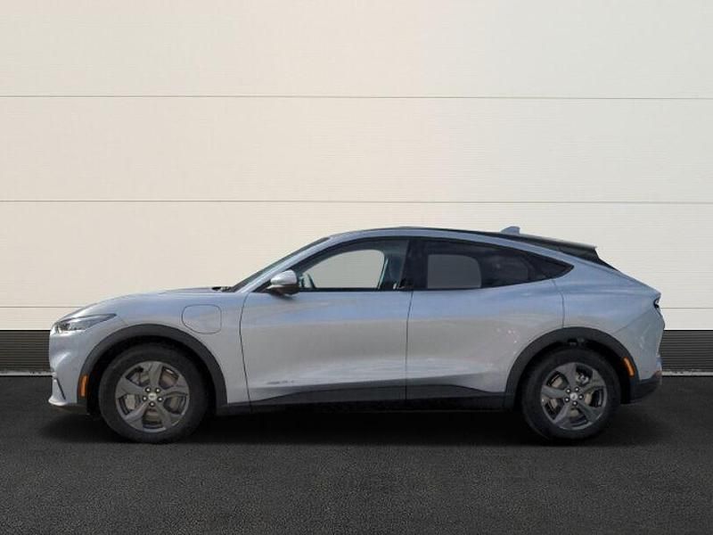 Gebraucht Ford Mustang Mach-E Standard Range 197 kW (269 PS) 2022 Andere farbe SUV