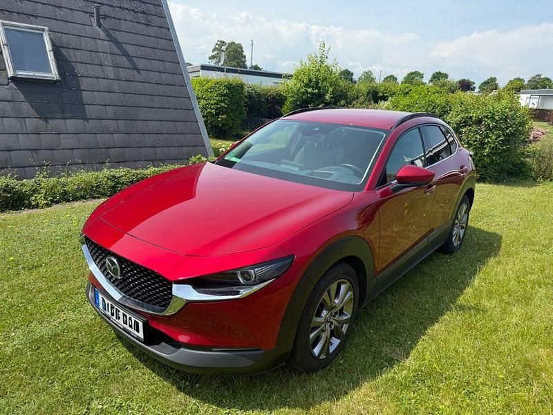 Gebraucht Mazda CX-30 Selection 150 PS (110 kW) 2020 Rot SUV