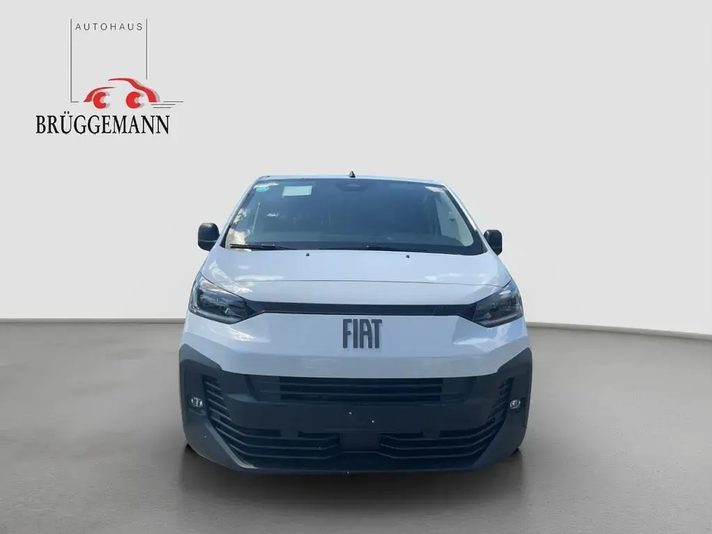 Neu Fiat Scudo 100 kW (136 PS) 2026 Weiß Van