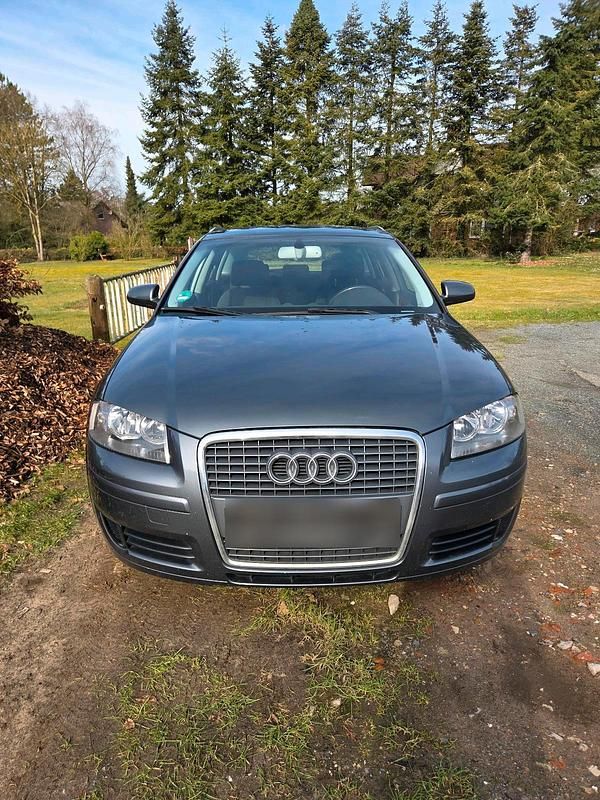 Gebraucht Audi A3 Ambiente 105 PS (77 kW) 2009 Grau Kleinwagen