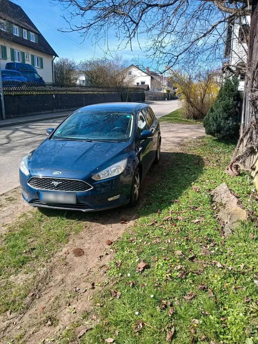 Gebraucht Ford Focus 125 PS (91 kW) 2017 Blau Kombi