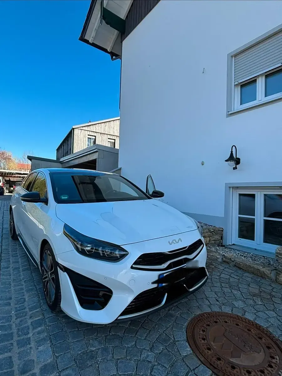 Gebraucht Kia ProCeed GT-Line 144 PS (105 kW) 2024 Weiß Kombi