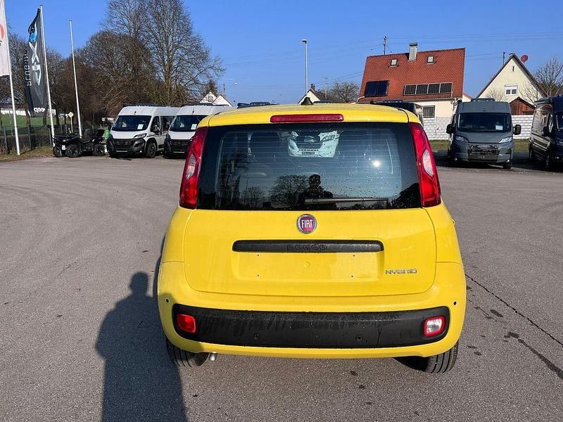 Neu Fiat Panda 65 PS (47 kW) 2026 Gelb Kleinwagen