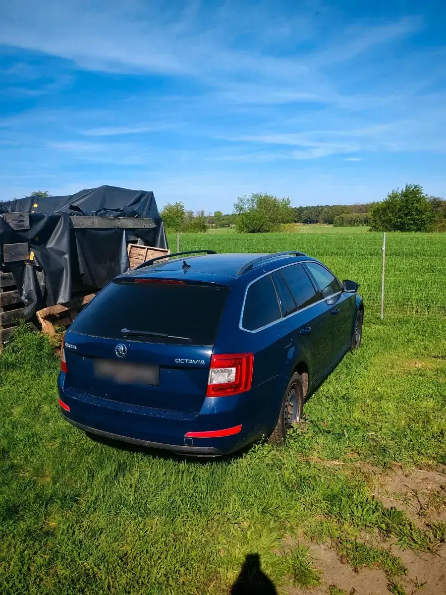 Gebraucht Skoda Octavia 110 PS (80 kW) 2016 Blau Kombi