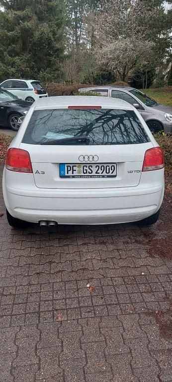 Gebraucht Audi A3 S-Line 105 PS (77 kW) 2006 Weiß Kleinwagen