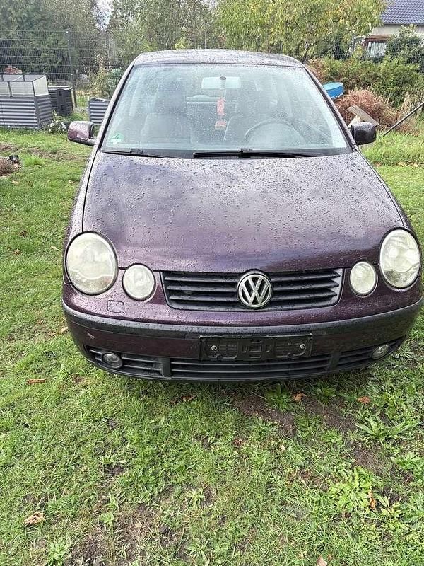 Violett Gebraucht 2002 VW Polo Limousine | 2.200 € (Etwas zu teuer) - Bild 1/4