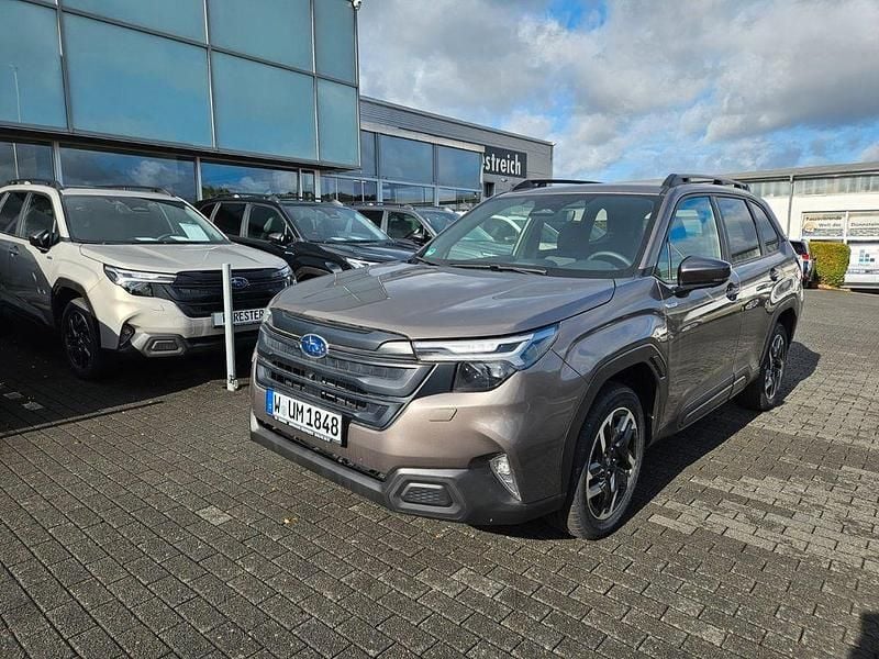 Gebraucht Subaru Forester Active 136 PS (100 kW) 2025 Grau SUV