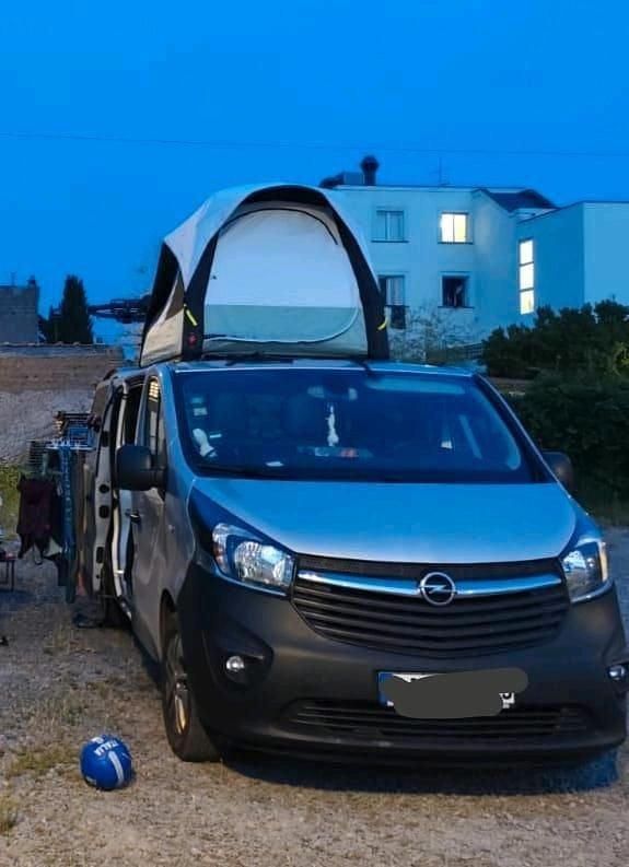 Gebraucht Opel Vivaro 140 PS (102 kW) 2014 Grau Van / Kleinbus