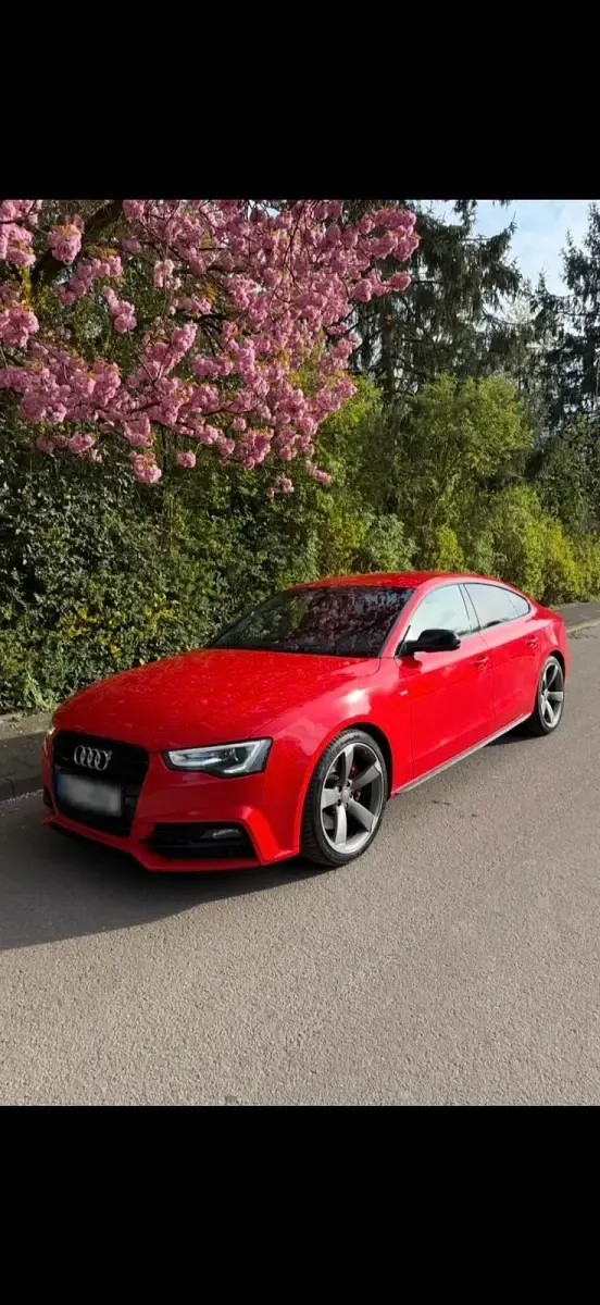 Gebraucht Audi A5 Comfort 245 PS (180 kW) 2016 Rot Coupé