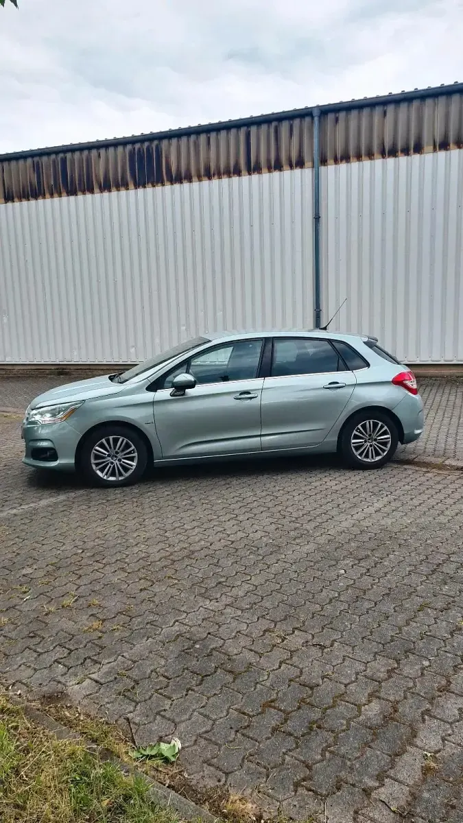 Usata Citroën C4 112 CV (82 kW) 2012 Verde Berlina