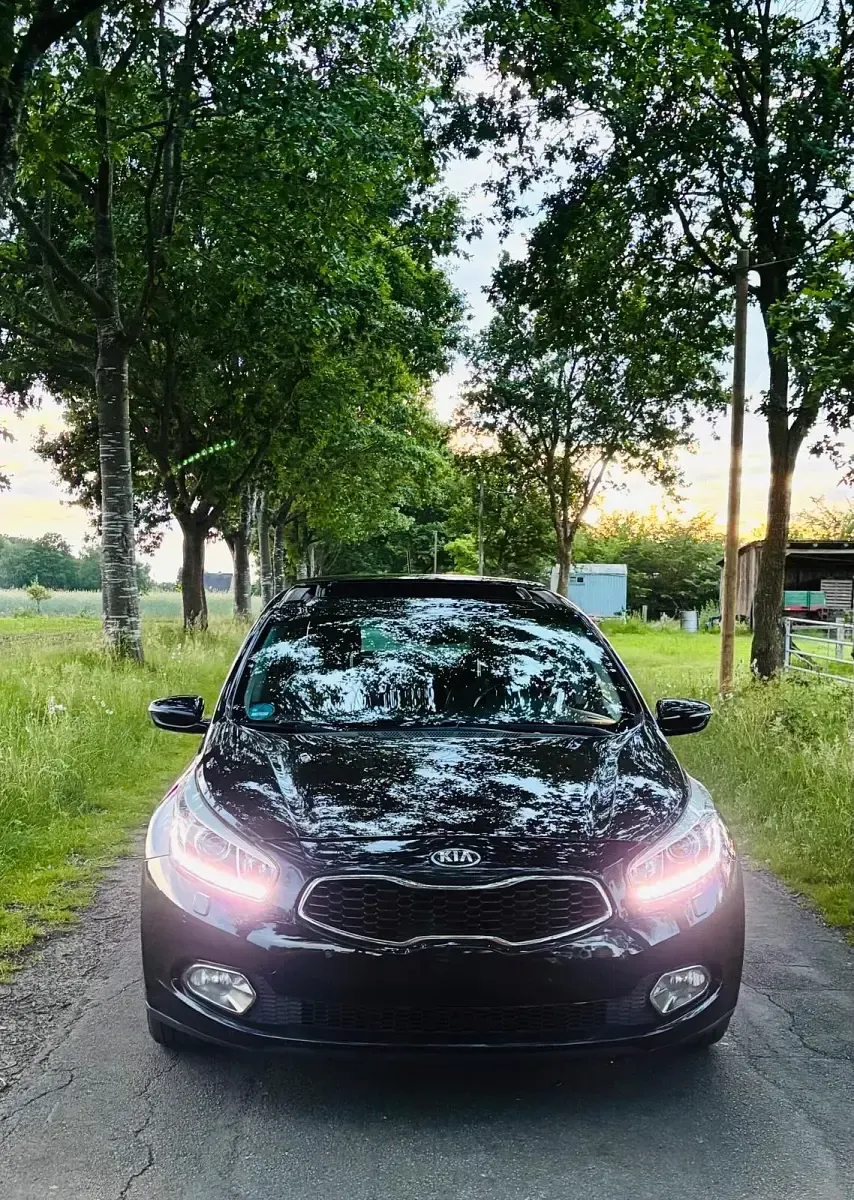 Gebraucht Kia Ceed 128 PS (94 kW) 2014 Schwarz Kleinwagen
