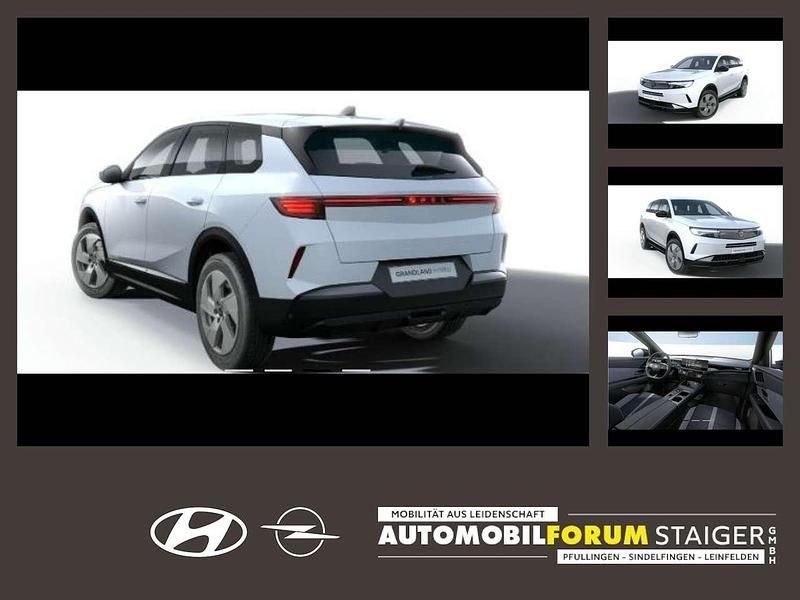 Arktis weiß Neu 2025 Opel Grandland X SUV | 39.990 € (Teuer) - Bild 1/4