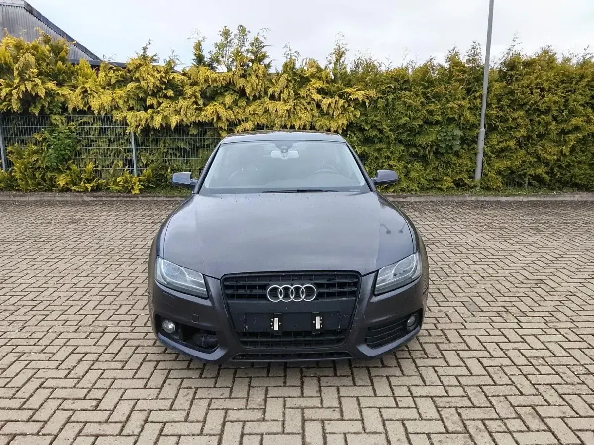 Gebraucht Audi A5 Sportback Performance 190 PS (139 kW) 2011 Braun Kleinwagen