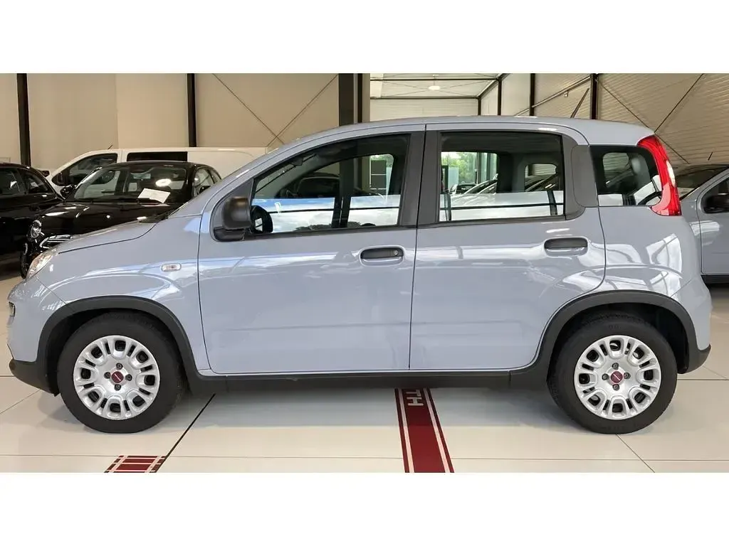 Gebraucht Fiat Panda 69 PS (50 kW) 2023 Grau Kleinwagen