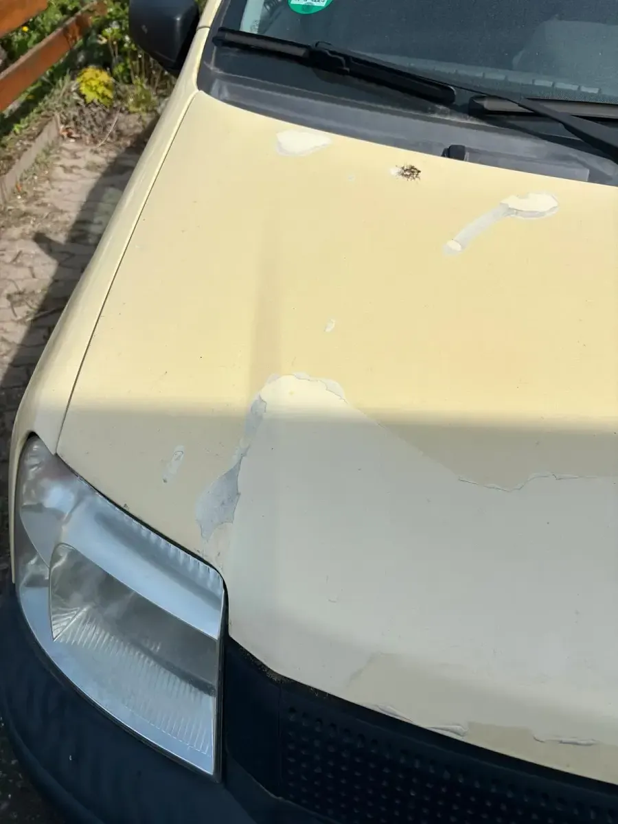 Usata Fiat Panda 2009 Utilitaria