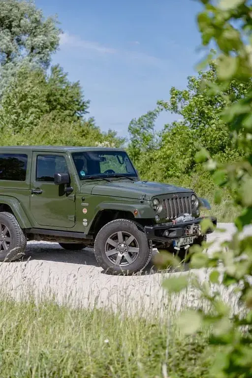 Gebraucht Jeep Wrangler 200 PS (147 kW) 2016 Grün SUV