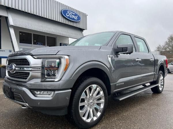 Grau (carbonized grey metallic) Neu 2024 Ford F-150 Limited Abholung | 106.470 € - Bild 1/4