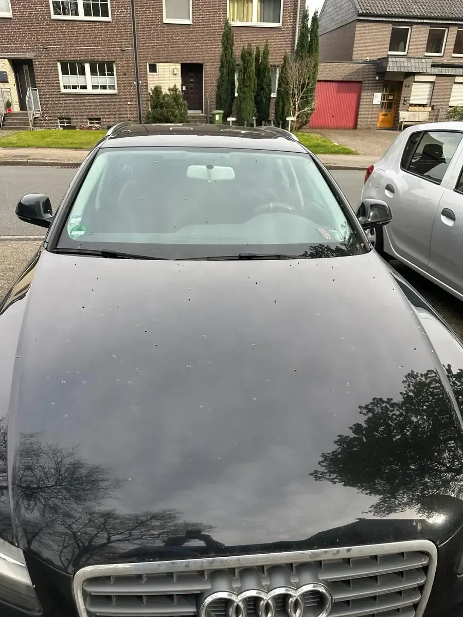 Second-hand Audi A4 160 CP (117 kW) 2009 Negru Break