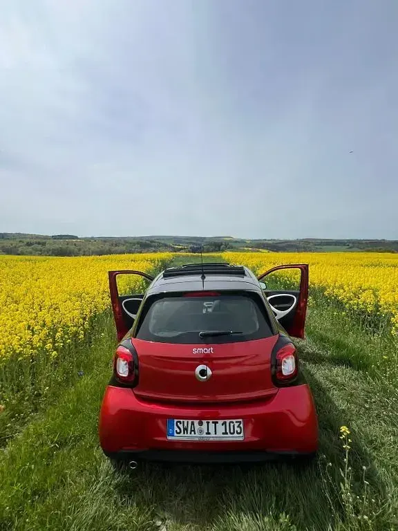 Gebraucht Smart ForFour Passion 90 PS (66 kW) 2015 Rot Kleinwagen