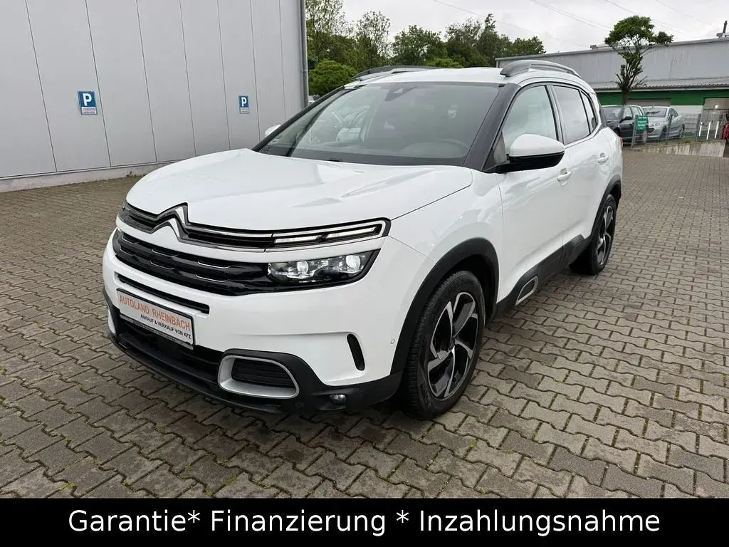 Gebraucht Citroën C5 Feel 131 PS (96 kW) 2019 Weiß Limousine