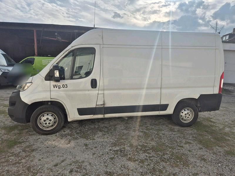 Gebraucht Opel Movano 165 PS (121 kW) 2022 Weiß Van