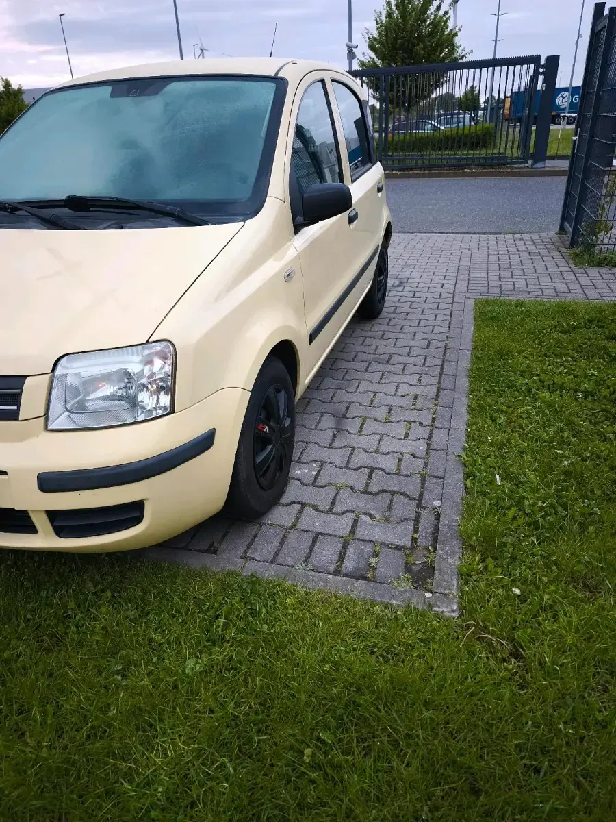 Gebraucht Fiat Panda 60 PS (44 kW) 2009 Gelb Kleinwagen