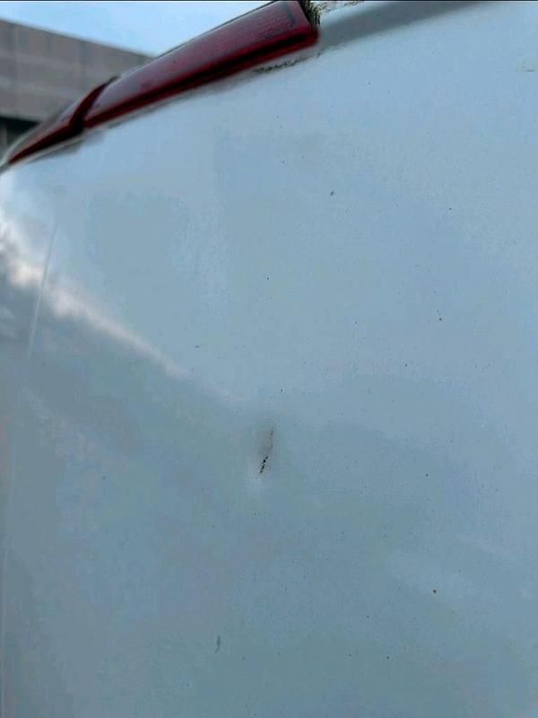 Gebraucht Ford Transit Custom 131 PS (96 kW) 2019 Weiß