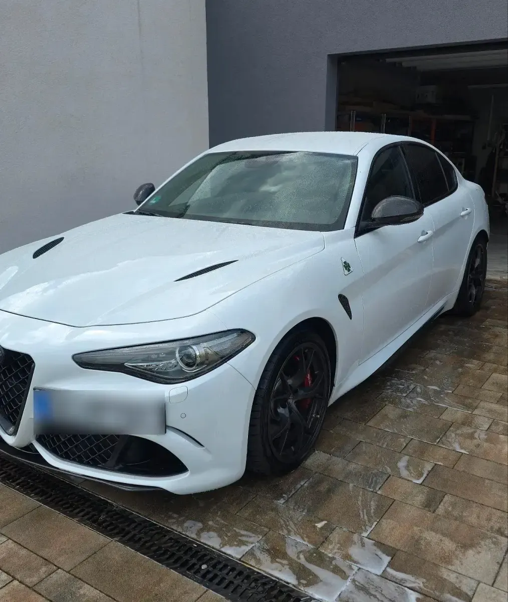Gebraucht Alfa Romeo Giulia Quadrifoglio 510 PS (375 kW) 2017 Andere farben Limousine