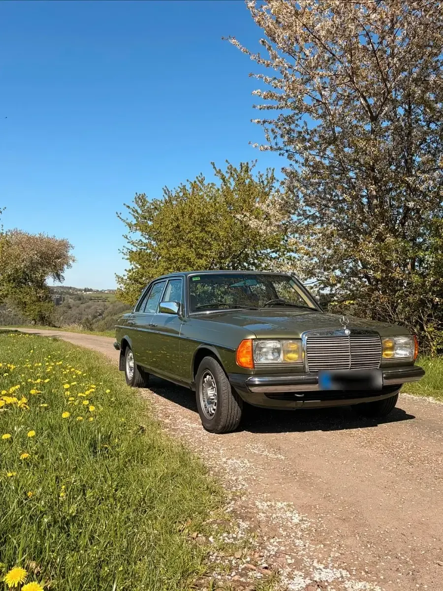 Gebraucht Mercedes 200 109 PS (80 kW) 1983 Grün Limousine