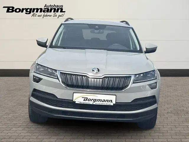 Gebraucht Skoda Karoq Style 116 PS (85 kW) 2019 Grau SUV