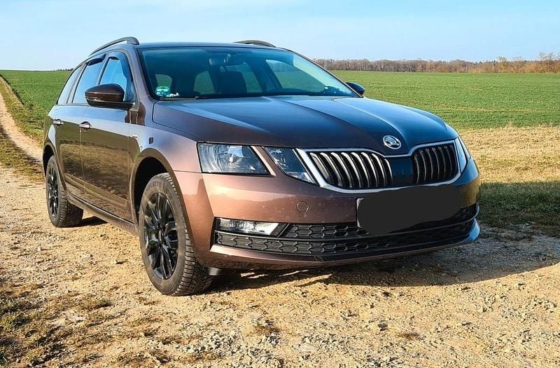 Gebraucht Skoda Octavia Drive 150 PS (110 kW) 2017 Braun Kombi