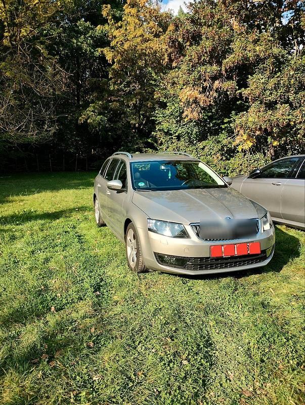 Gold Gebraucht 2014 Skoda Octavia Kombi | 12.300 € (Etwas zu teuer) - Bild 1/4