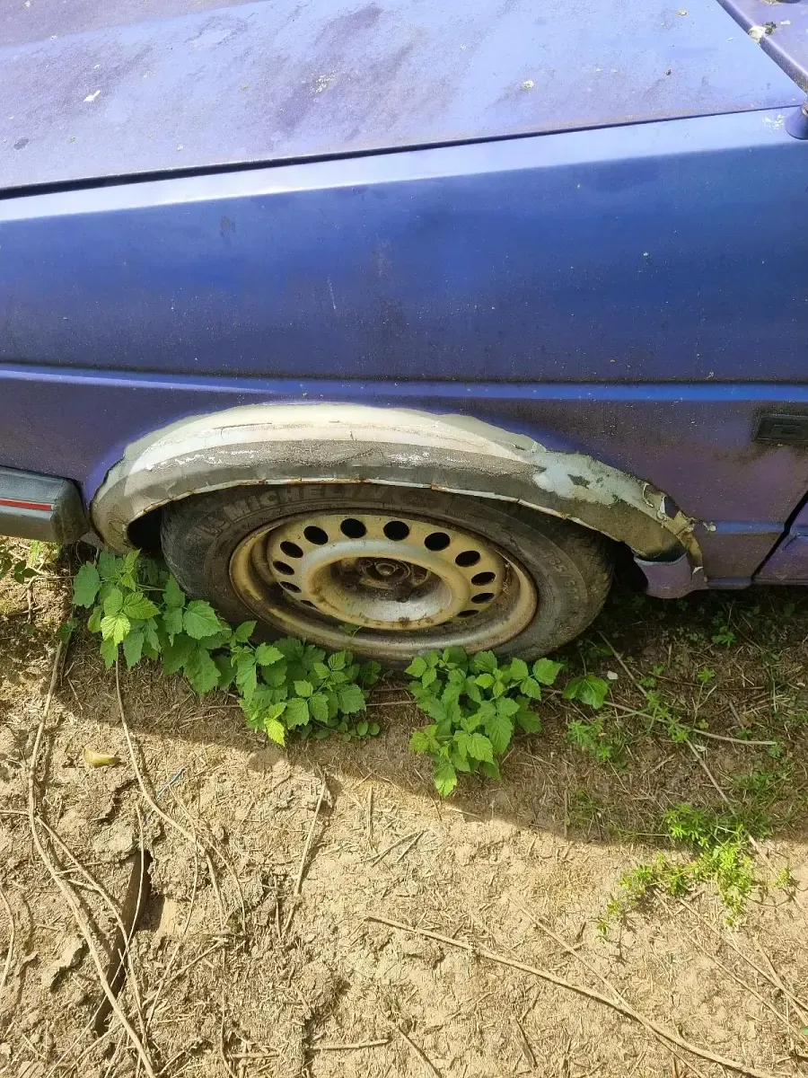 Gebraucht VW Golf II 54 PS (39 kW) 1991 Violet Kleinwagen