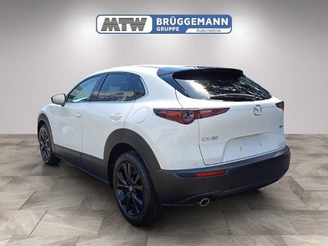 Gebraucht Mazda CX-30 Homura-Line 140 PS (102 kW) 2025 Weiß SUV