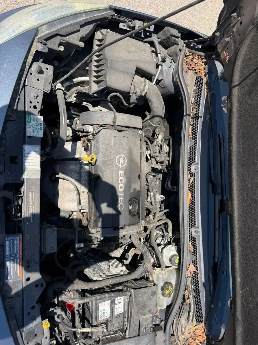 Używany Opel Astra 2010 Niebieski Hatchback