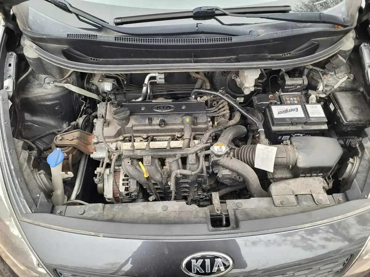 Usata Kia Rio 86 CV (63 kW) 2014 Graphit met. Utilitaria