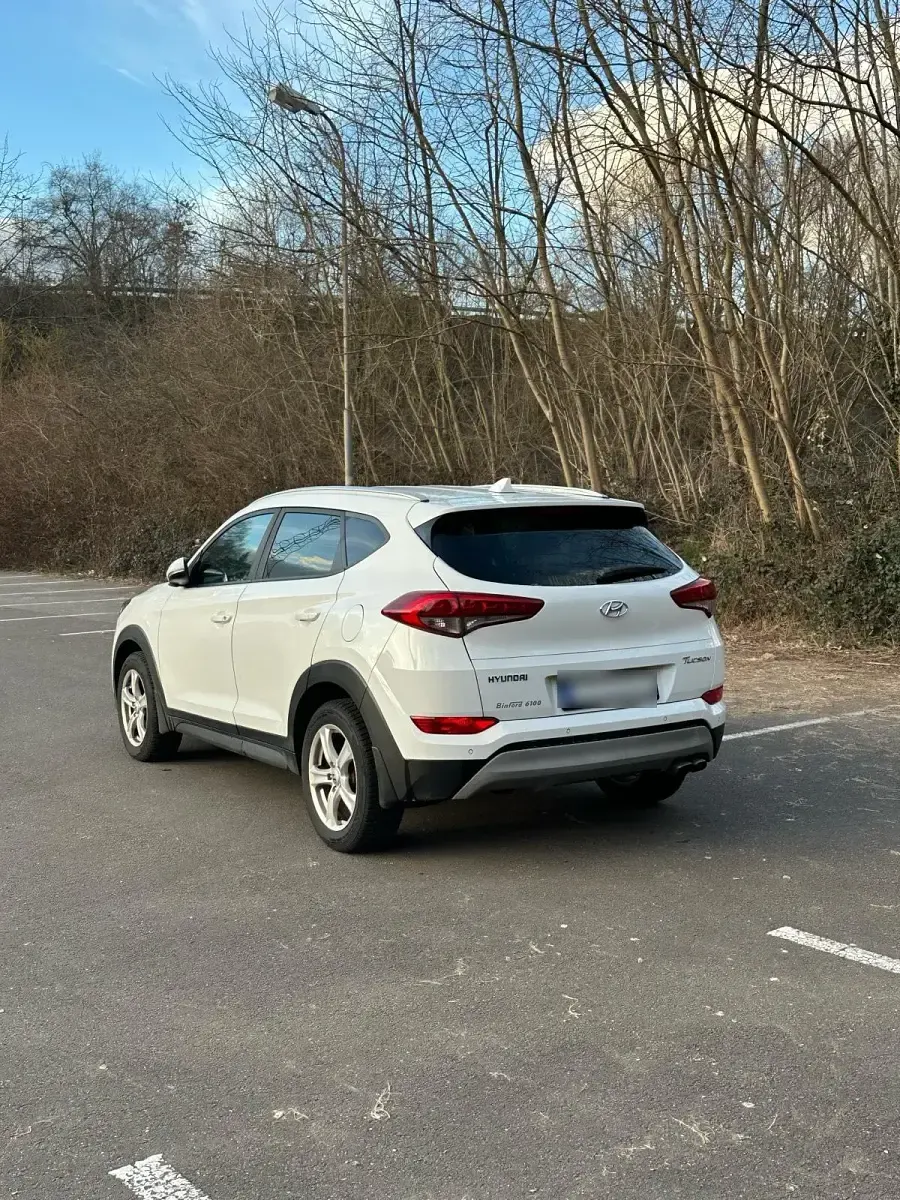 Gebraucht Hyundai Tucson 179 PS (131 kW) 2018 Weiß SUV
