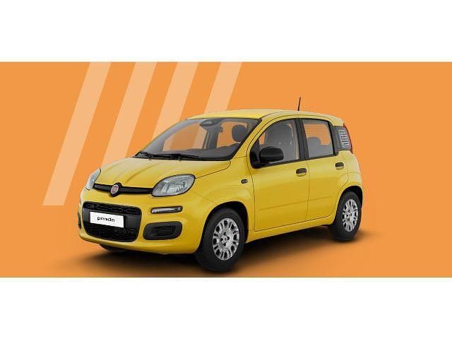 Neu Fiat Panda Icon 69 PS (50 kW) 2025 Positano gelb Kleinwagen