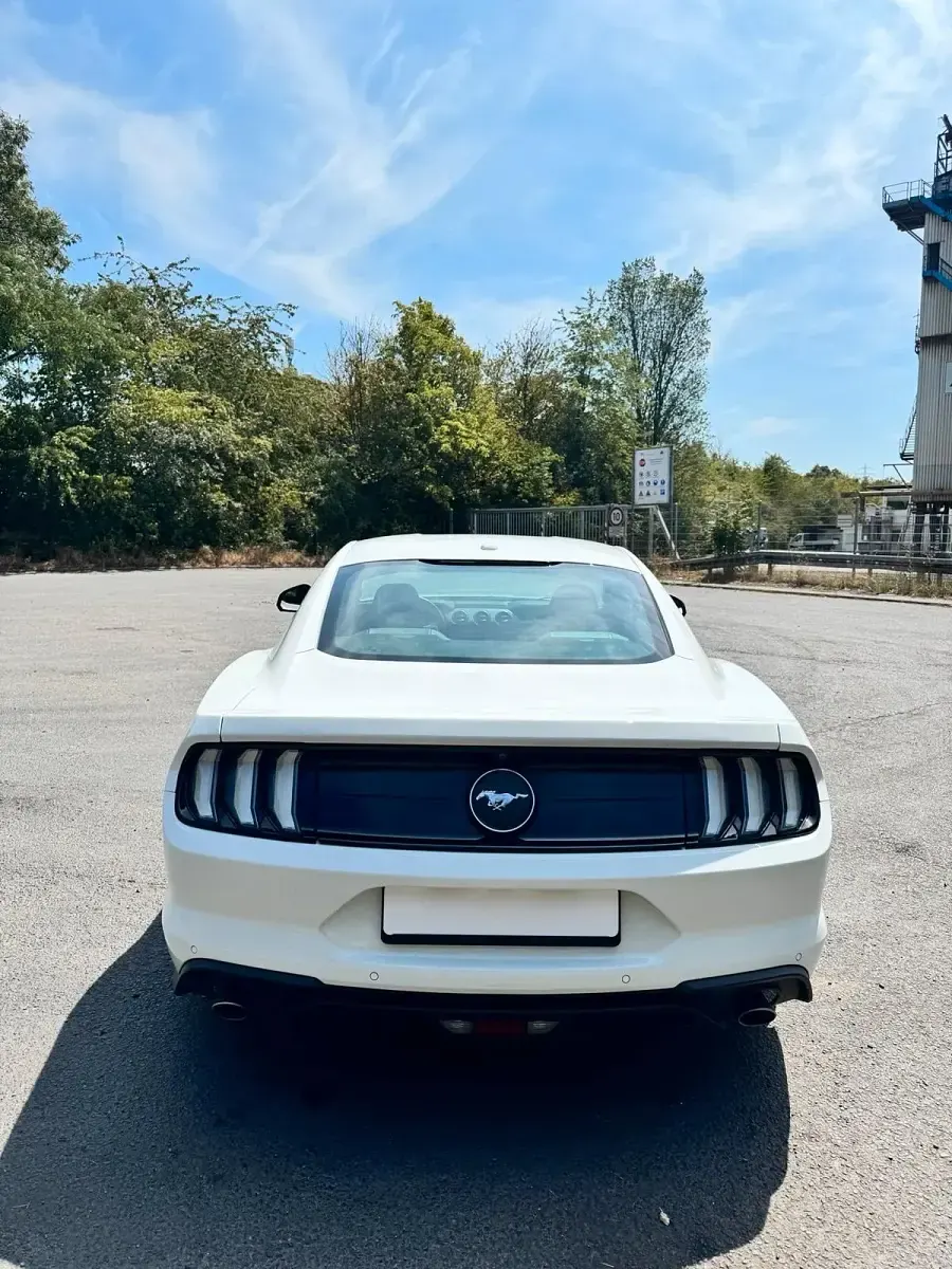 Gebraucht Ford Mustang GT Fastback 290 PS (213 kW) 2018 Weiß Coupé