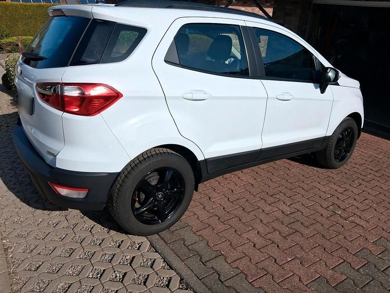 Gebraucht Ford Focus Sport 101 PS (74 kW) 2019 Weiß SUV