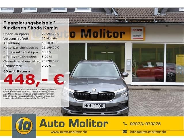 Neu Skoda Kamiq Selection 150 PS (110 kW) 2025 Grau SUV