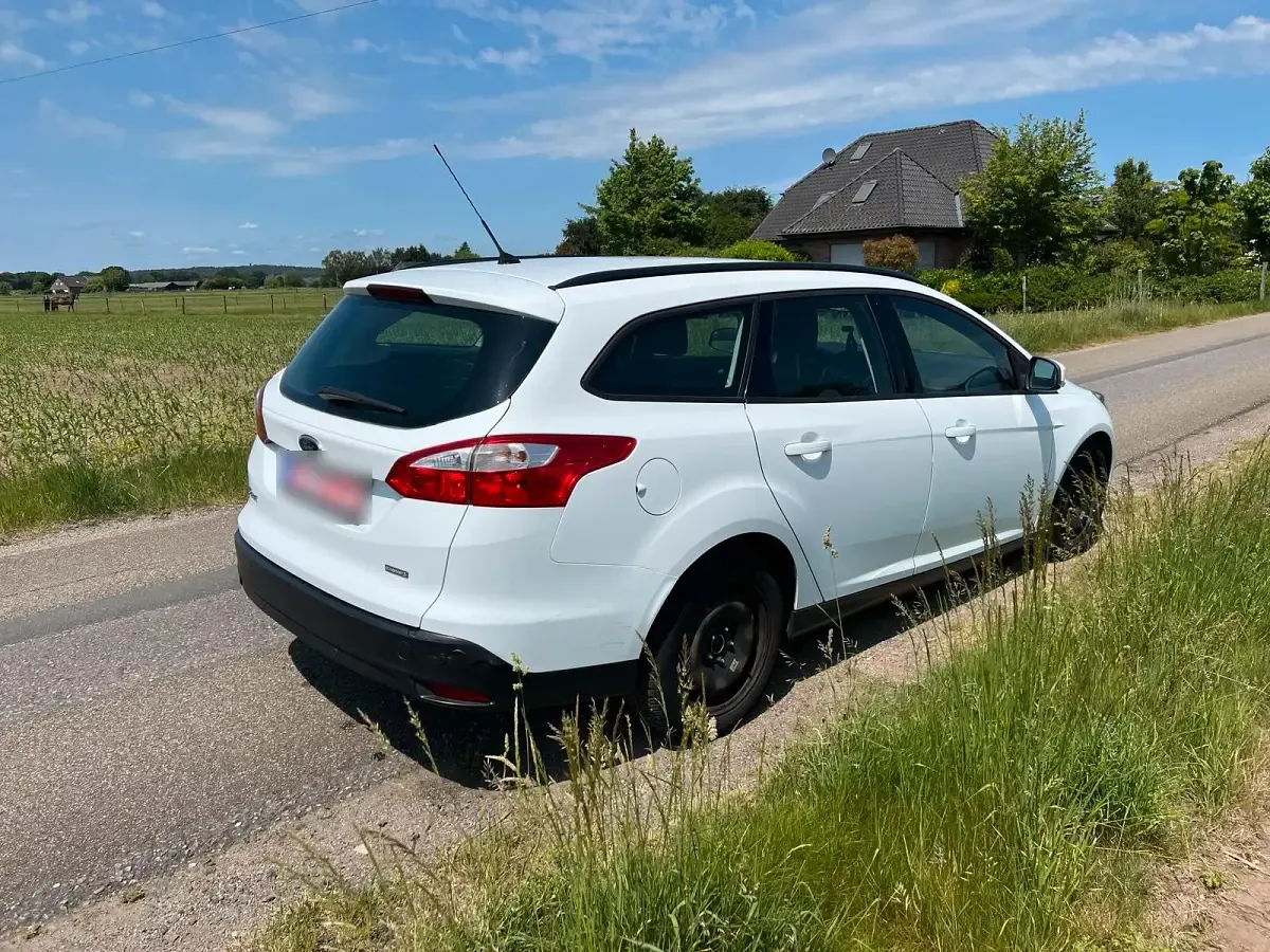 Gebraucht Ford Focus 125 PS (91 kW) 2014 Weiß Kombi