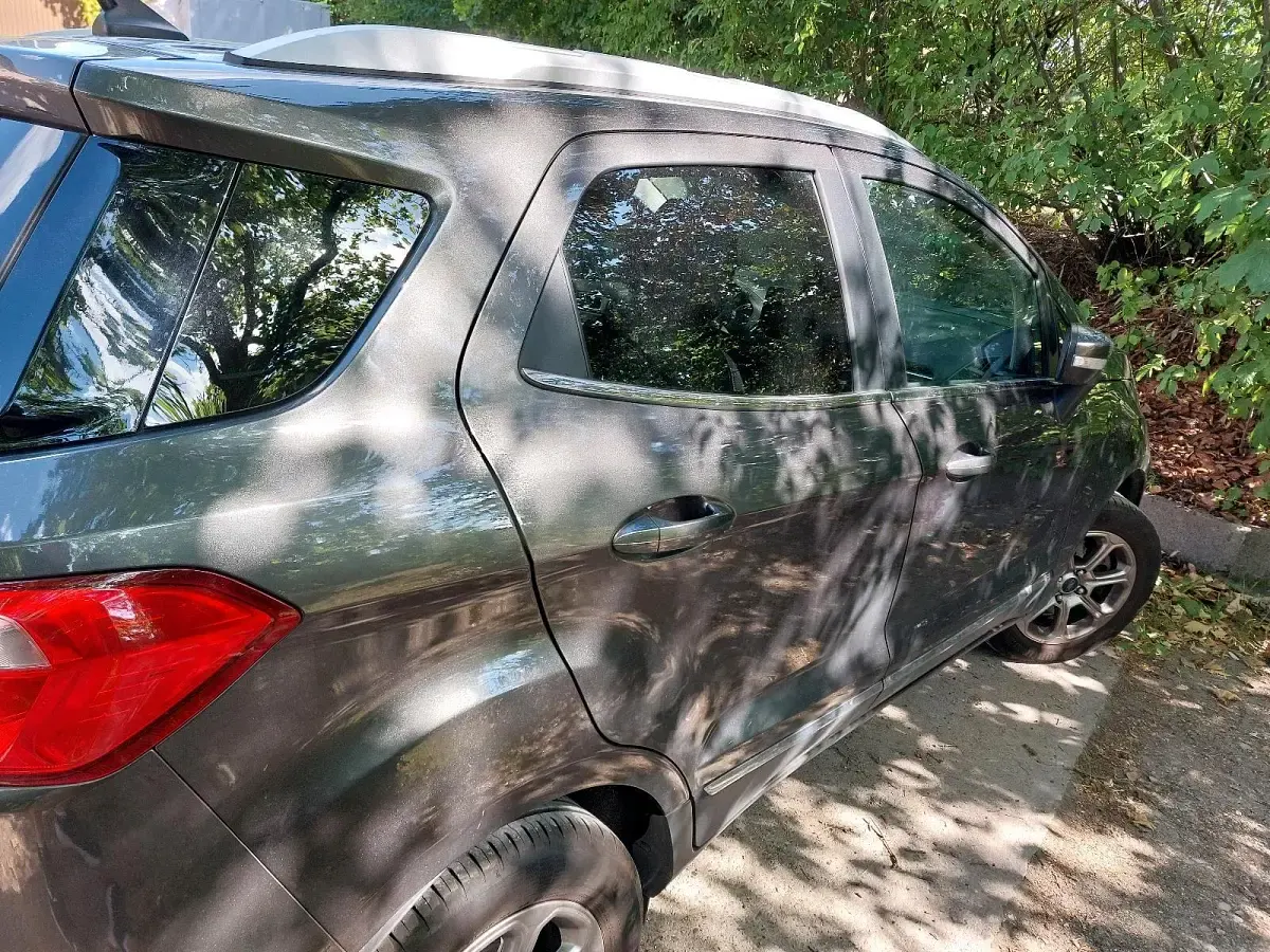 Gebraucht Ford Ecosport Titanium 125 PS (91 kW) 2019 Grau SUV