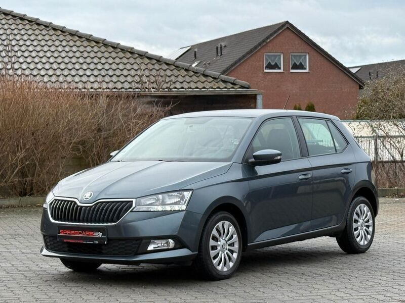 Grau Gebraucht 2019 Skoda Fabia Ambition Kleinwagen | 14.990 € (Fairer Preis) - Bild 1/4